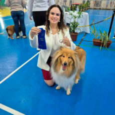 Collie no KCEC – Maranguape