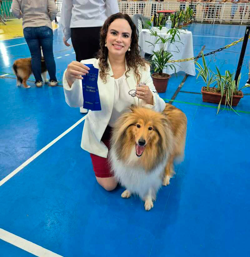 Collie no KCEC – Maranguape