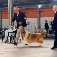 Tramandaí – KCCS e FECIRS