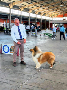 Dog Show Tramandaí 60 Anos