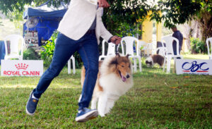 Bahia Royal Cup 2025