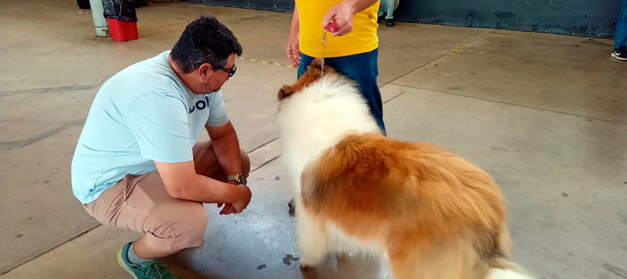 Manchester KC em Vespasiano