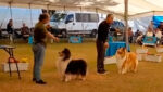 2º Campeonato Paulista - KCABC & CLUSC