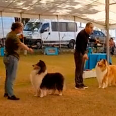 2º Campeonato Paulista – KCABC & CLUSC