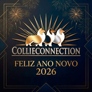 Feliz Ano Novo! 2025/2026