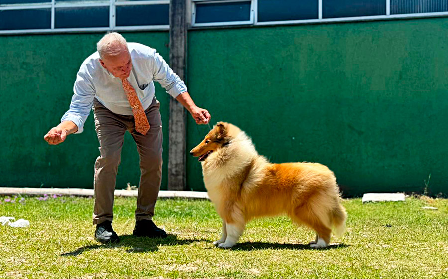 Tramandaí Final de Ano 2025