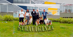 Campeonato Carioca – STRAVAGANZA 2025