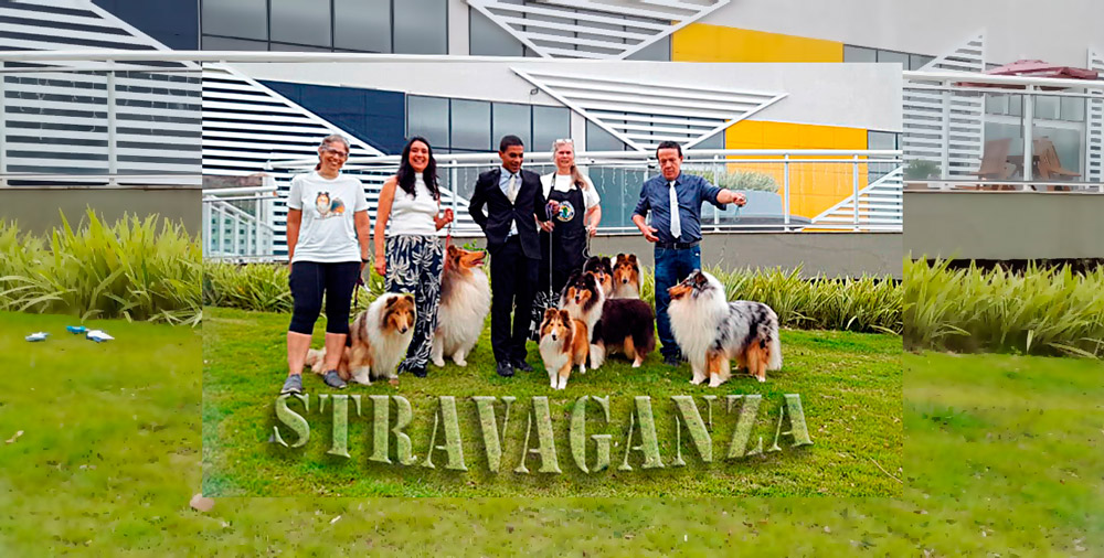 Campeonato Carioca – STRAVAGANZA 2025