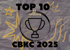 TOP 10 Collies do Ranking CBKC 2025