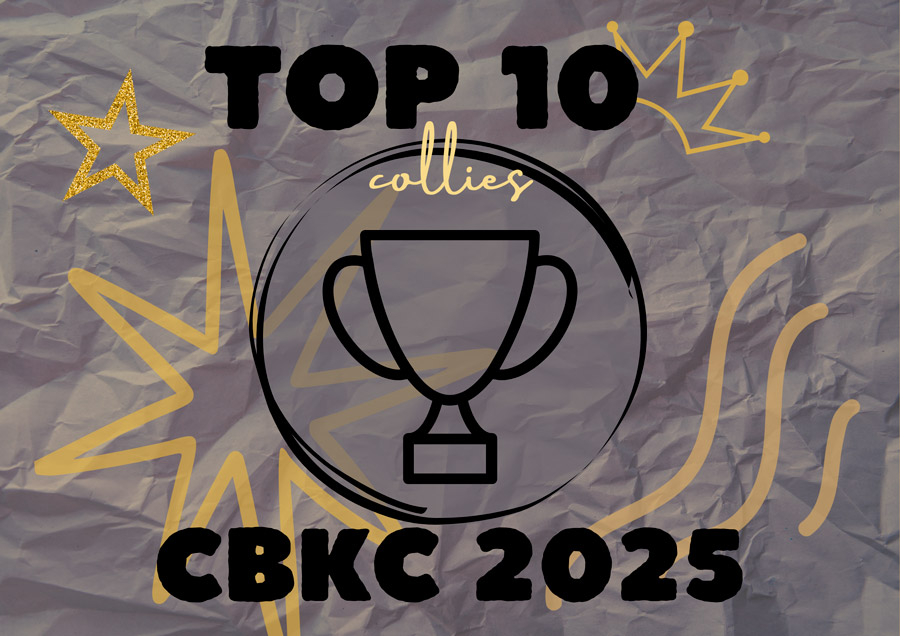 TOP 10 Collies do Ranking CBKC 2025
