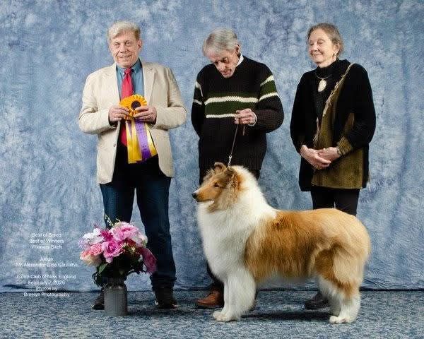 Alexandre Carvalho – Collie Club of New England