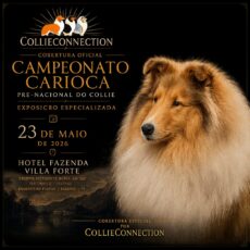 Inscrições Abertas Pré-Nacional do Collie 2026