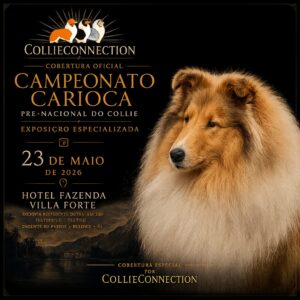 Inscrições Abertas Pré-Nacional do Collie 2026