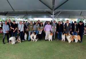 Pré-Nacional do Collie 2026